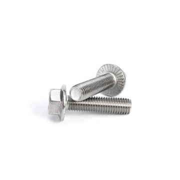 Stainless Steel Flanged Hex Head Bolts