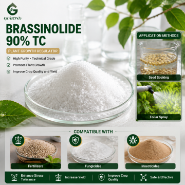 Regulador del crecimiento vegetal brasinoesteroide 24-Epibrassinolide 90% TC