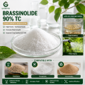 24-Epibrassinolide 90% TC Brassinosteroid منظم نمو النبات