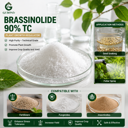 24-Epibrassinolide 90% TC Brassinosteroid منظم نمو النبات