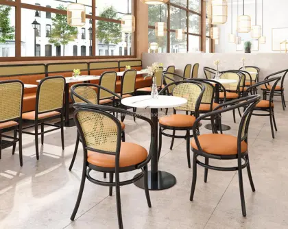 Indoor Outdoor Metal Dining Chairs by Thonet