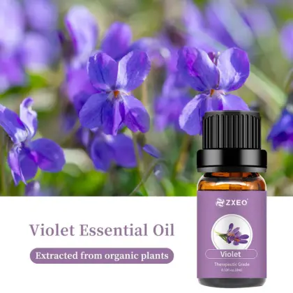 Wholesale 100% Violet Pure Natural Violet Essential Oil Violet Fragrance Oil Cosmetic Perfume Soap Making