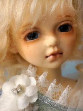 BJD Wind Land Sapphire Bard Boy 26cm Doll