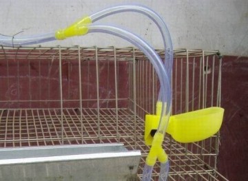 Quail welded wire mesh cage