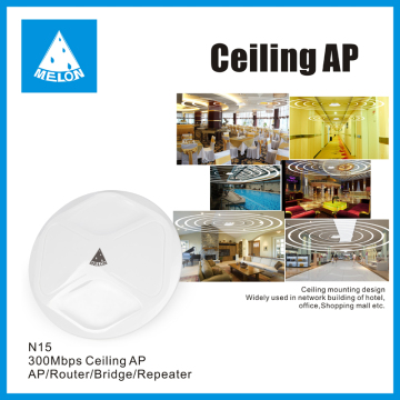 24V EU plug POE Ceiling AP 300Mbps 2.4G, with omni antenna Melon N19