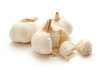2014 Pure White Garlic 5.0cm+