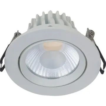 7W cob downlight widely used in Hotels, Supermarket, Restaurant