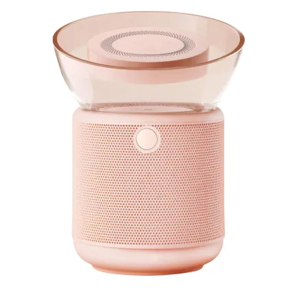 HomePod Google Nest Mini Injection molding mold