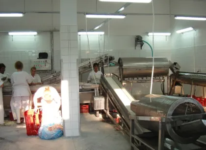Feet processing equipment for slaughterhouse equipment