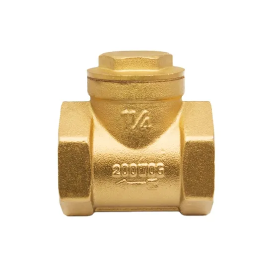 1/4 - 4 inch horizontal brass Check Valve