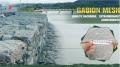 Caixa de Gabion galvanizada revestida com PVC barato