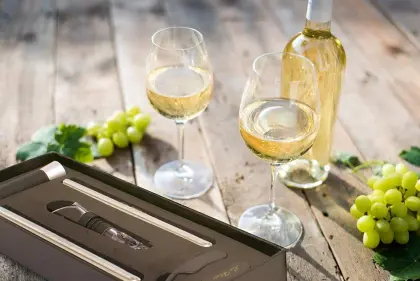 Le Flair Premium Wine Cooler Set - Complete Wine Accessory Bundle