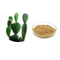 Moisturizing Raw Materials Opuntia dilenil polysaccharides