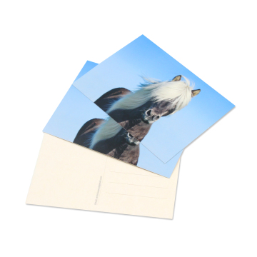 Custom Wholesale Foil Gold Business Items: Cards, Calendars, Posters & More for Your Business