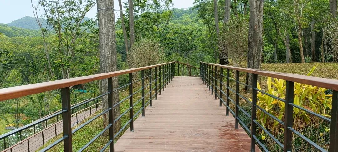 chestnut color groove bamboo  flooring