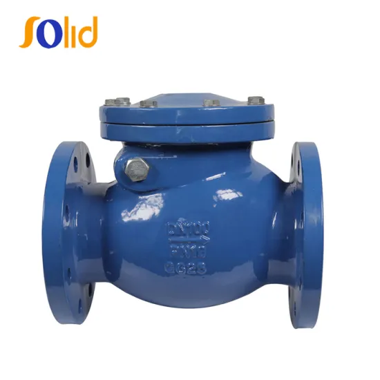DIN3202 F6 Ductile cast Iron Swing Check Valve with Flange Ends