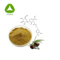 Olive Leaf Extract Oleuropein 20% 40% 60% Powder