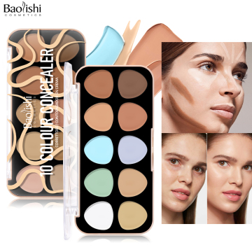 BAOLISHI Customized Logo Matte Facial Correction and Highlight Palette