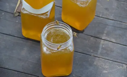 pure natural date jujube honey