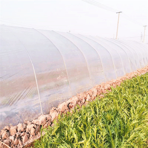 Biodegradable Eco-friendly Agricultural Plastic Film