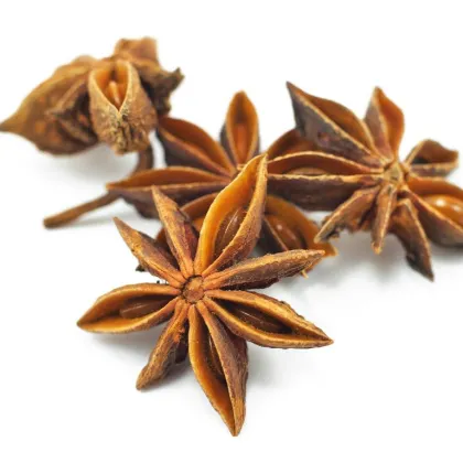 High-Quality Dried Star Anise: Premium Single Spices & Herbs