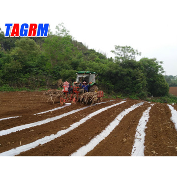 Con una lunga storia di macchine agricole per piantare la canna da zucchero