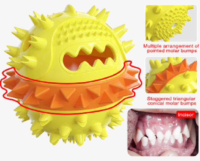 Teeth Cleaning For Dog Details 6