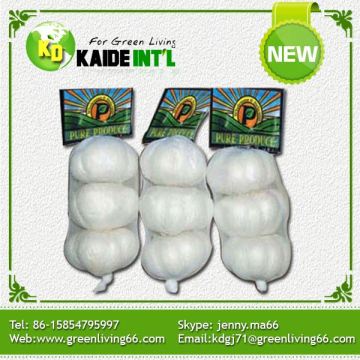 White Fresh Garlic