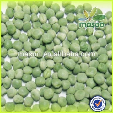 China peas of sweet peas,baby sweet peas/popular peas for sell