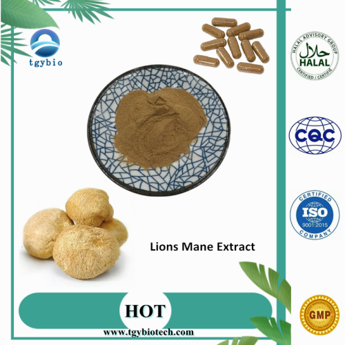 Lever Natural Lion&#39;s Manen Mushroom Extract Powder