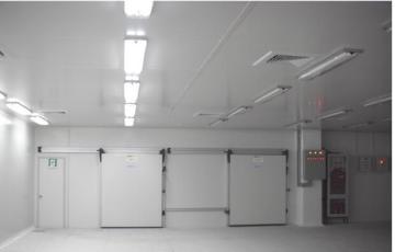 Mobile Blast Freezer/Cold Storage/Cold Room