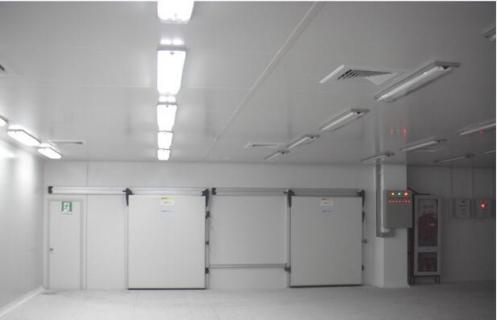 Mobile Blast Freezer/Cold Storage/Cold Room