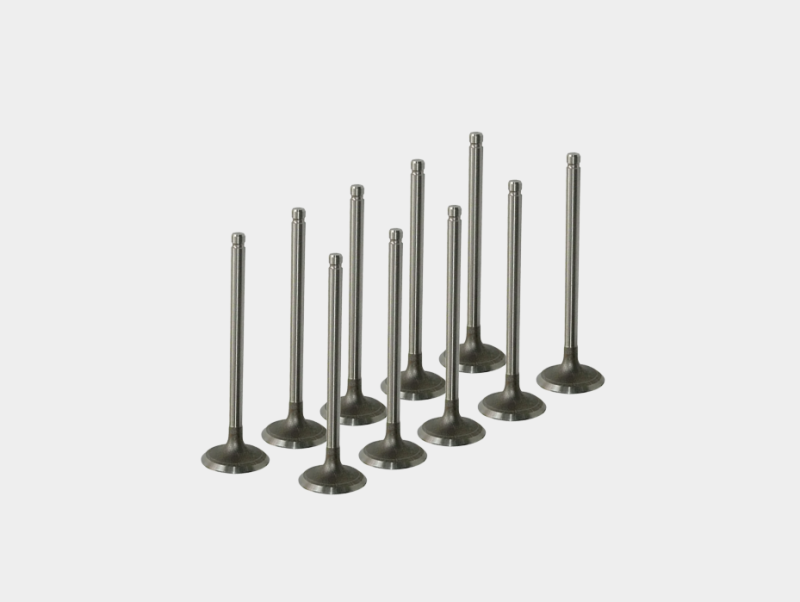 Exhaust Valve Replacement for Car