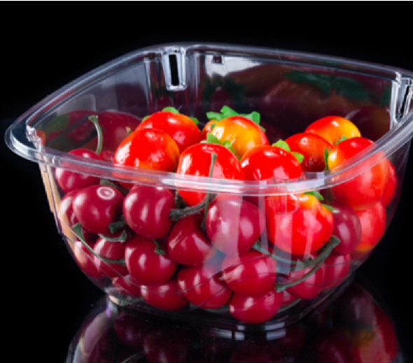 Salad Tub Plastic Transparent