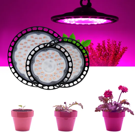 IP65 Waterproof Phyto Lamp 100W/150W/200W Full Spectrum LED Grow Light for Greenhouse Hydroponic Seedling