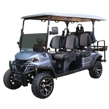 Electric Golf Carts and Custom Sightseeing Bus Tours for Parks, Gardens, Zoos, and Attractions