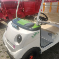 Open 2-seater electric sightseeing car