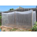 4m*100m 50Mesh Roll Anti Insect Net