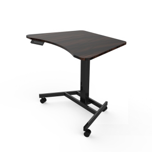 Single Leg Electric Sit to Stand Desk