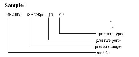 differential pressure gauge