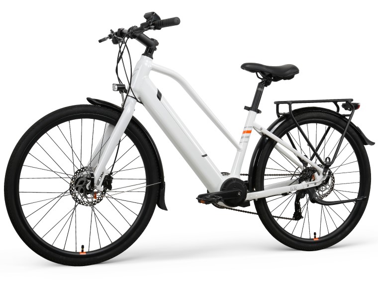 Customized Two Person Electric Bike