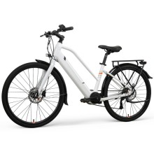 Customized Two Person Electric Bike