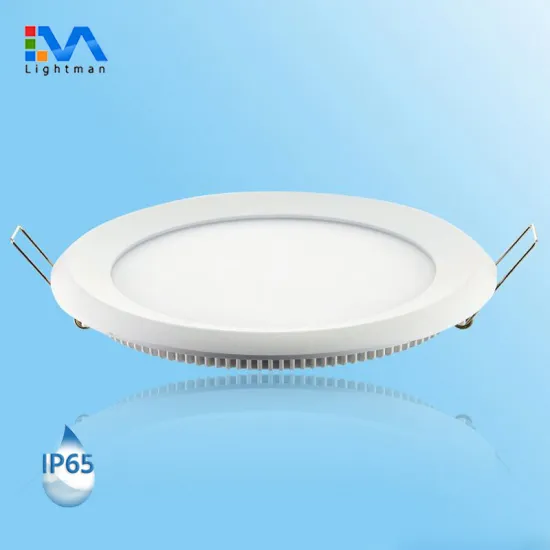 IP44 IP54 IP65 Waterproof LED Ceiling Panel Lights - 4inch, 6inch, 9inch Indoor Recessed Downlights