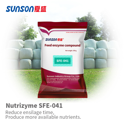 Komplexa enzymer för foder Ensilage SFE-041C