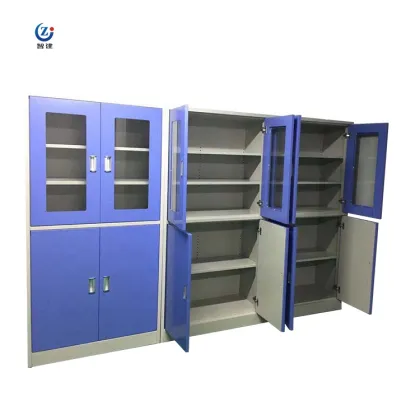 Factory Outlet Medical Storage Cabinets for Chemical Reagents and Lab Safety