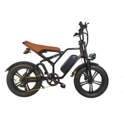 Snow retro electric bicycle