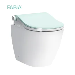 Modern Design Multifunctional Wall Automatic Toilet