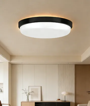 LED Indoor Ceiling Light