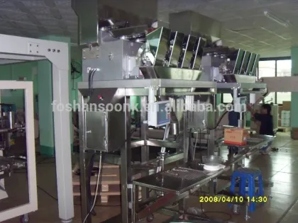 SK-420ST Bleaching Powder Filling Weighing Packaging Machinery