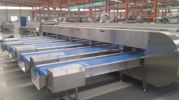 Stainless steel fruit grading machine